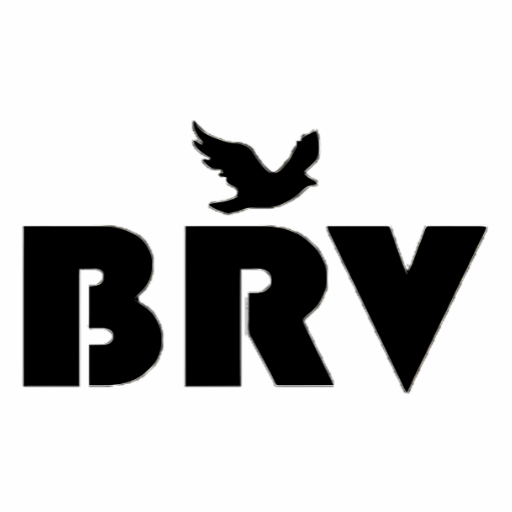 Brv Retail solution